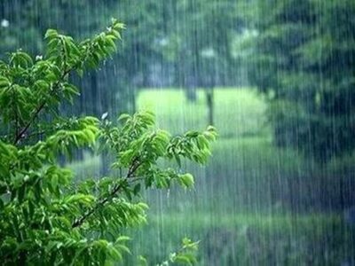 آیا بارانی که در زمان آلودگی هوا میبارد خطرناک است؟