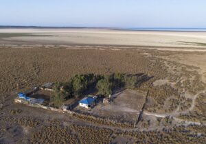 جنگ «میانکاله» برای بقا/ فاصله کوتاه بهشت پرندگان با کانون های ریزگرد