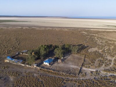 جنگ «میانکاله» برای بقا/ فاصله کوتاه بهشت پرندگان با کانون های ریزگرد