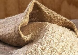 کردی پور:  بیش از ۷۰۰۰ تن برنج تنظیم بازار در فارس توزیع شد