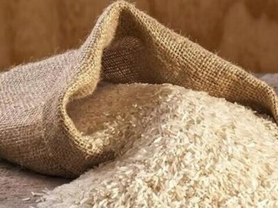 کردی پور: بیش از ۷۰۰۰ تن برنج تنظیم بازار در فارس توزیع شد