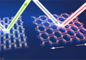 نانوپوست آفتاب‌پرست ساخته شد