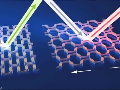 نانوپوست آفتابپرست ساخته شد