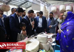 آغاز به کار نخستین نمایشگاه تخصصی حصیربافی در شهرستان مهر