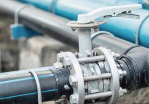 شیر پروانه‌ای چیست؟