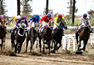 آغاز هفته پنجم کورس پاییزه گنبدکاووس با شرکت ۲۰۱ اسب