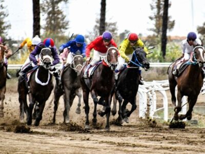 آغاز هفته پنجم کورس پاییزه گنبدکاووس با شرکت ۲۰۱ اسب