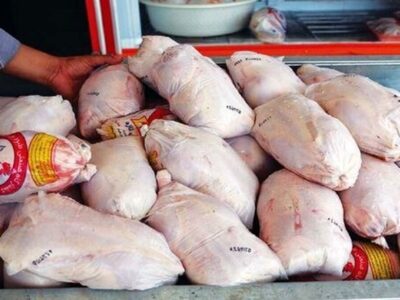 مرغ منجمد تنظیم بازار در شهرستان گناوه توزیع می‌شود