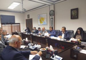 تأمین مسکن و فرصتهای اشتغال خانوادههای شاهد و ایثارگر در اولویت قرار گرفت