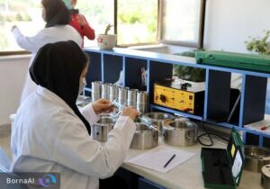 مدیریت ۱۵۰۰ شرکت دانشبنیان در دست بانوان است