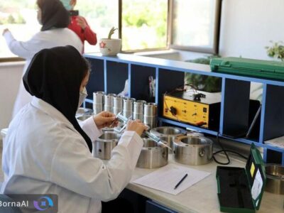 مدیریت ۱۵۰۰ شرکت دانشبنیان در دست بانوان است