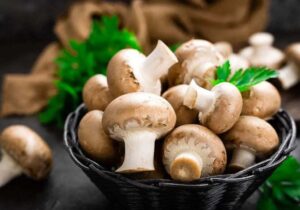 قیمت انواع قارچ در میادین میوه و تره بار اعلام شد