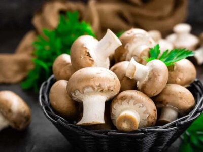 قیمت انواع قارچ در میادین میوه و تره بار اعلام شد