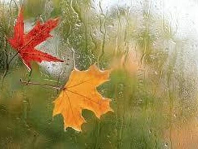 هوای یزد بالاخره بارانی می‌شود