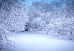 بارش نخستین برف در گردنه سخوید یزد