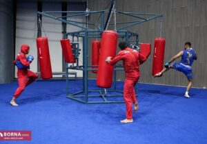 انتخاب مریم پاسالار به عنوان نائب‌رئیس بانوان کمیته تای‌چی‌چوان فدراسیون ووشو