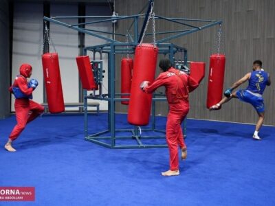 انتخاب مریم پاسالار به عنوان نائب‌رئیس بانوان کمیته تای‌چی‌چوان فدراسیون ووشو