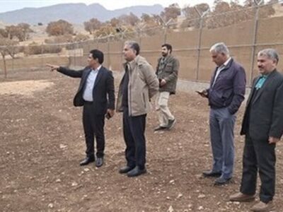 بازدید معاون محیط زیست طبیعی از سایت تکثیر و پرورش گوزن زرد ایرانی در استان لرستان