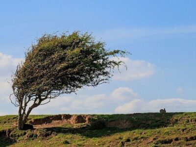 سرعت وزش باد در زنجان به آستانه نسبتا شدید میرسد