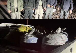 توقف یک محموله زغال قاچاق در حاشیه منطقه حفاظتشده دنا