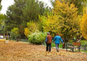 اجرای طرح «فرش خزان» در بوستان های منتخب قم
