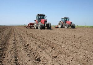 عقب ماندگی کشت پاییزه در خراسان شمالی/ دیمکاران هنوز تصمیم برای کشت نگرفتهاند