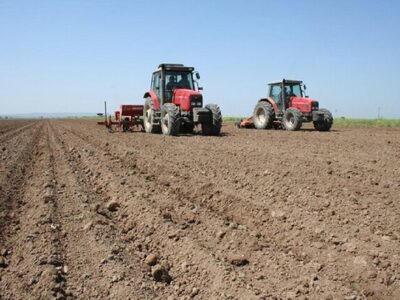 عقب ماندگی کشت پاییزه در خراسان شمالی/ دیمکاران هنوز تصمیم برای کشت نگرفتهاند