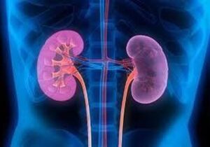 چگونه هوای کلیهها را داشته باشیم