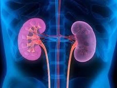 چگونه هوای کلیه‌ها را داشته باشیم