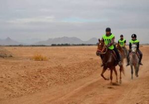 نفرات برتر چهارمین دوره مسابقات سوارکاری استقامت استان اصفهان معرفی شدند