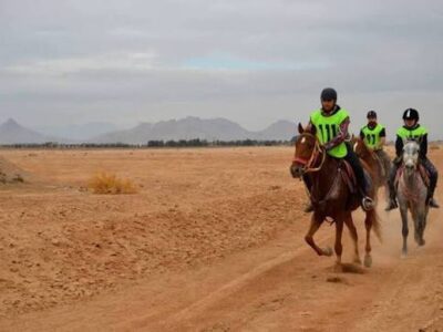 نفرات برتر چهارمین دوره مسابقات سوارکاری استقامت استان اصفهان معرفی شدند