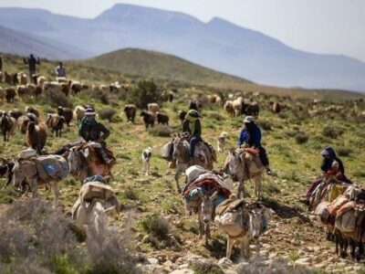 وضعیت اضطراری در مناطق عشایرنشین فارس اعلام شد