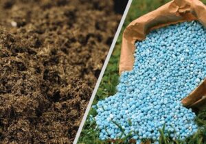 جذب و توزیع بیش از ۲۳ هزار تن کود شیمیایی در چهارمحال و بختیاری