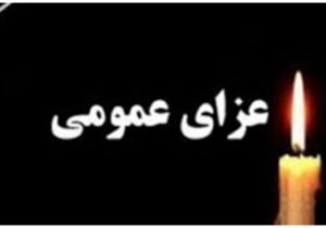 ۳ روز عزای عمومی اعلام شد/ کارمندان دورکار شدند