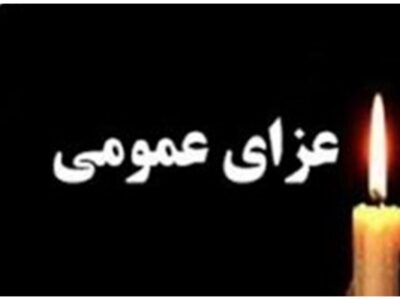 ۳ روز عزای عمومی اعلام شد/ کارمندان دورکار شدند