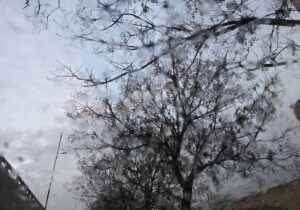 آغاز بارندگیها در سطح استان کرمان از عصر دوشنبه