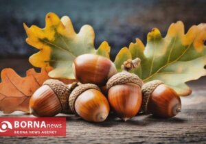 نوشیدنی «ژاوا» بازخوانی هوشمندانه یک تاریخ فراموش‌شده در مقاومت مردم غرب کشور