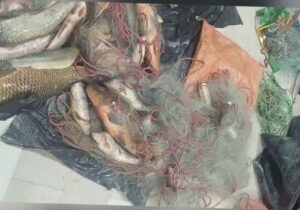 دستگیری ۳ گروه صیاد متخلف در الیگودرز