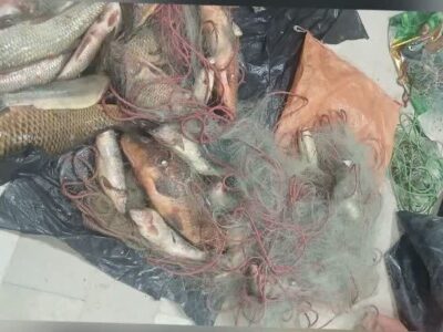 دستگیری ۳ گروه صیاد متخلف در الیگودرز