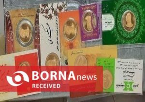 سارق سکه جات در ملارد دستگیر شد