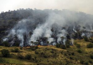 ۴۴ میلیارد تومان تجهیزات اطفای حریق برای ۱۴ استان ارسال شد