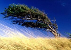 افزایش چشمگیر سرعت وزش باد در زنجان