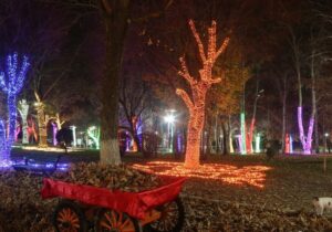 دایمی شدن پردیس نوری پارک ملت تهران / آغاز هوشمند سازی بوستانهای شریعتی و نوروز