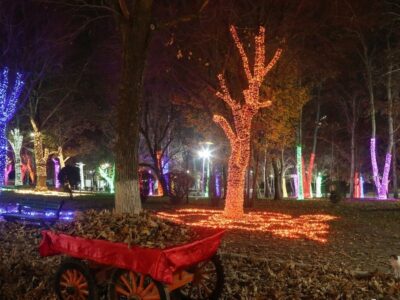 دایمی شدن پردیس نوری پارک ملت تهران / آغاز هوشمند سازی بوستان‌های شریعتی و نوروز