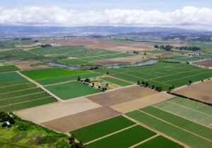 صدور سند تک برگ برای ببش از ۱۲هزار هکتار از اراضی کشاورزی آذربایجان غربی