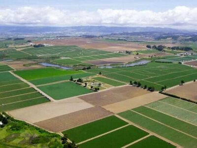 صدور سند تک برگ برای ببش از ۱۲هزار هکتار از اراضی کشاورزی آذربایجان غربی