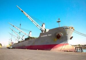 واردات ۶۶ هزار تن گندم از طریق بندر شهید رجایی بندرعباس