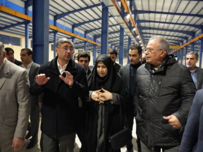 استاندار لرستان خبر داد: پیشرفت ۸۵درصدی واحد سیلیکون متال صنایع فرتاک بروجرد