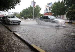 مدیرکل هواشناسی بوشهر از رکورد بارندگی در استان خبر داد