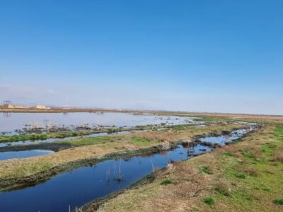 تالاب صالحیه اولویت اول زیستمحیطی البرز/ حذف زهکش، شرط اصلی احیای تالاب